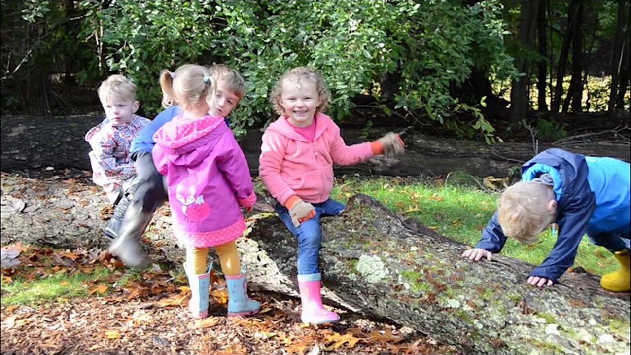 Kalamazoo Nature Center Day Camp