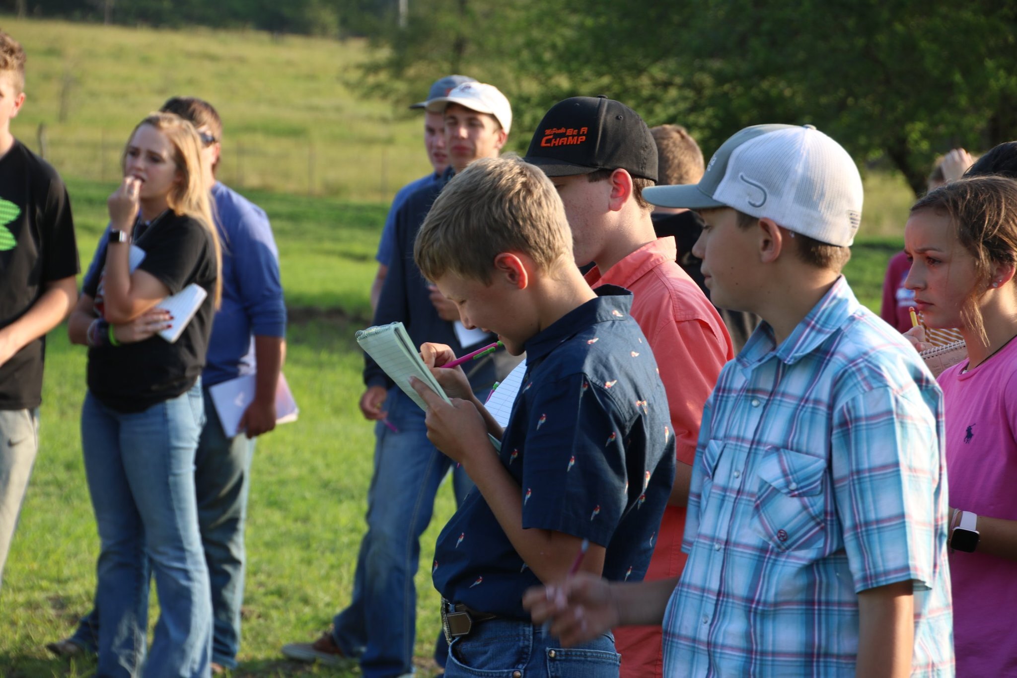 Kansas State University Champions Livestock And Horse Judging Camps photo 1