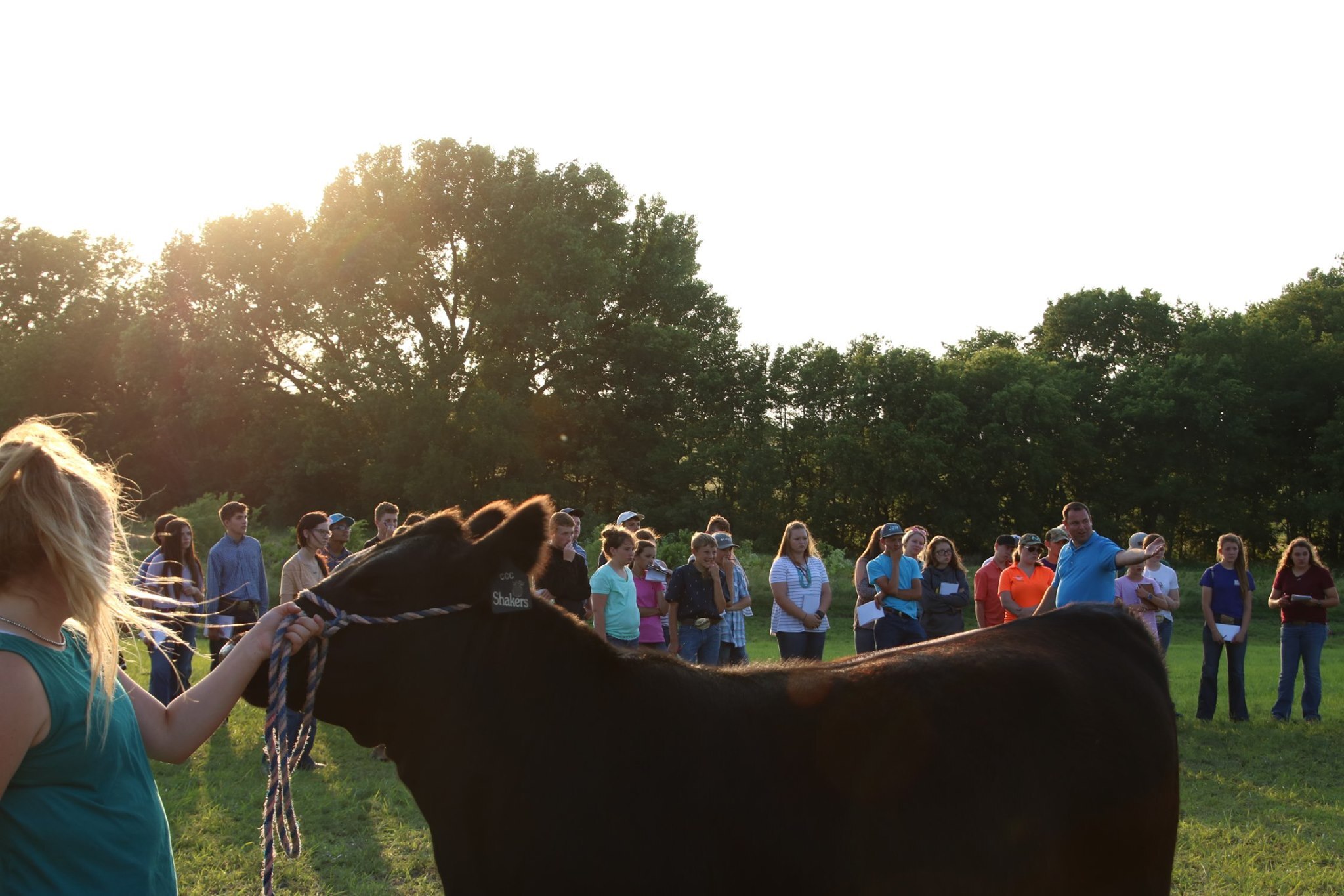 Kansas State University Champions Livestock And Horse Judging Camps