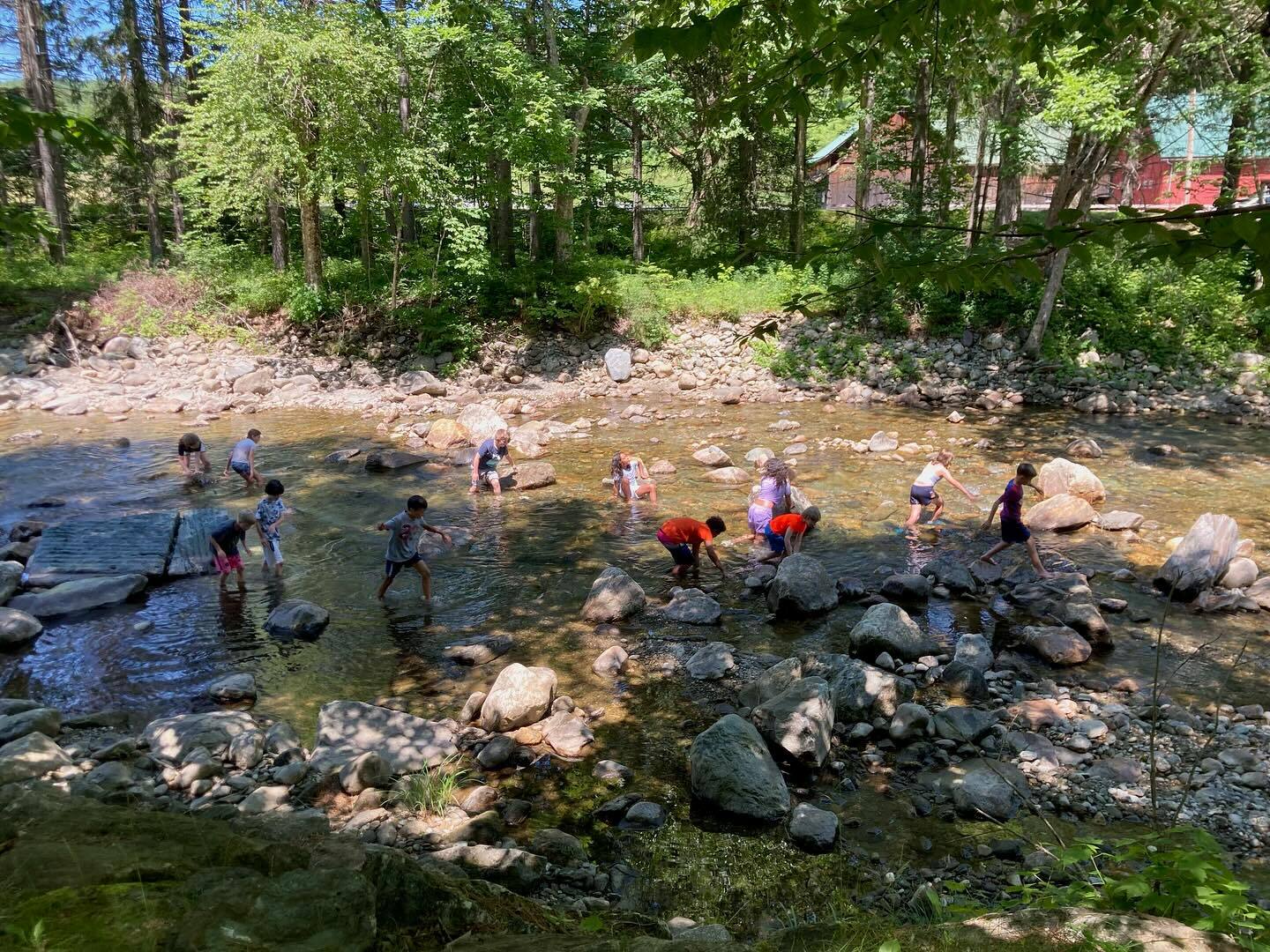 Farm And Wilderness Summer Camps photo 1