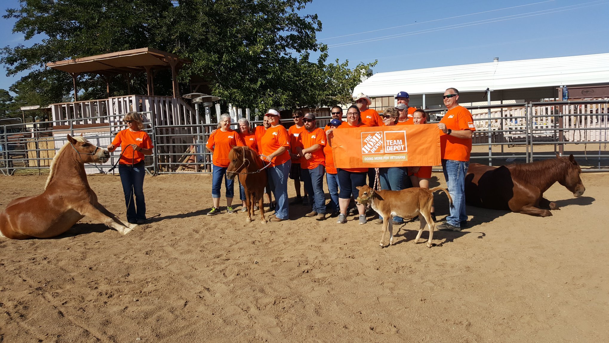 Kingman's Healing Hooves Horsemanship Camp