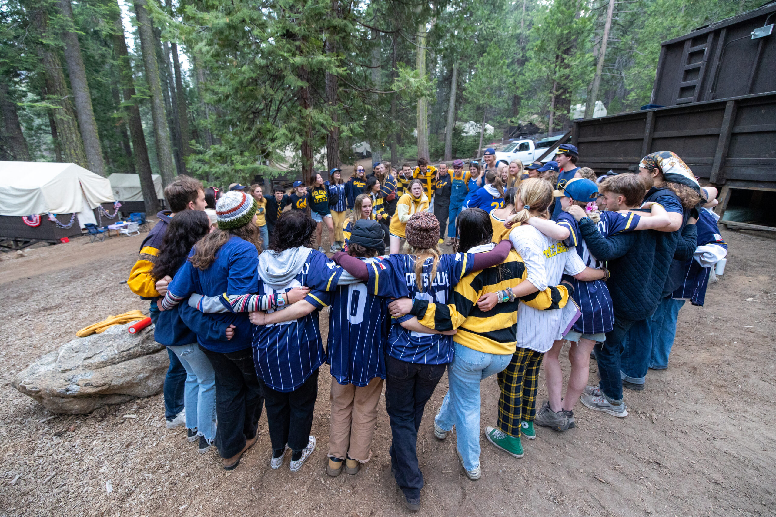 Lair Of The Golden Bear photo 1