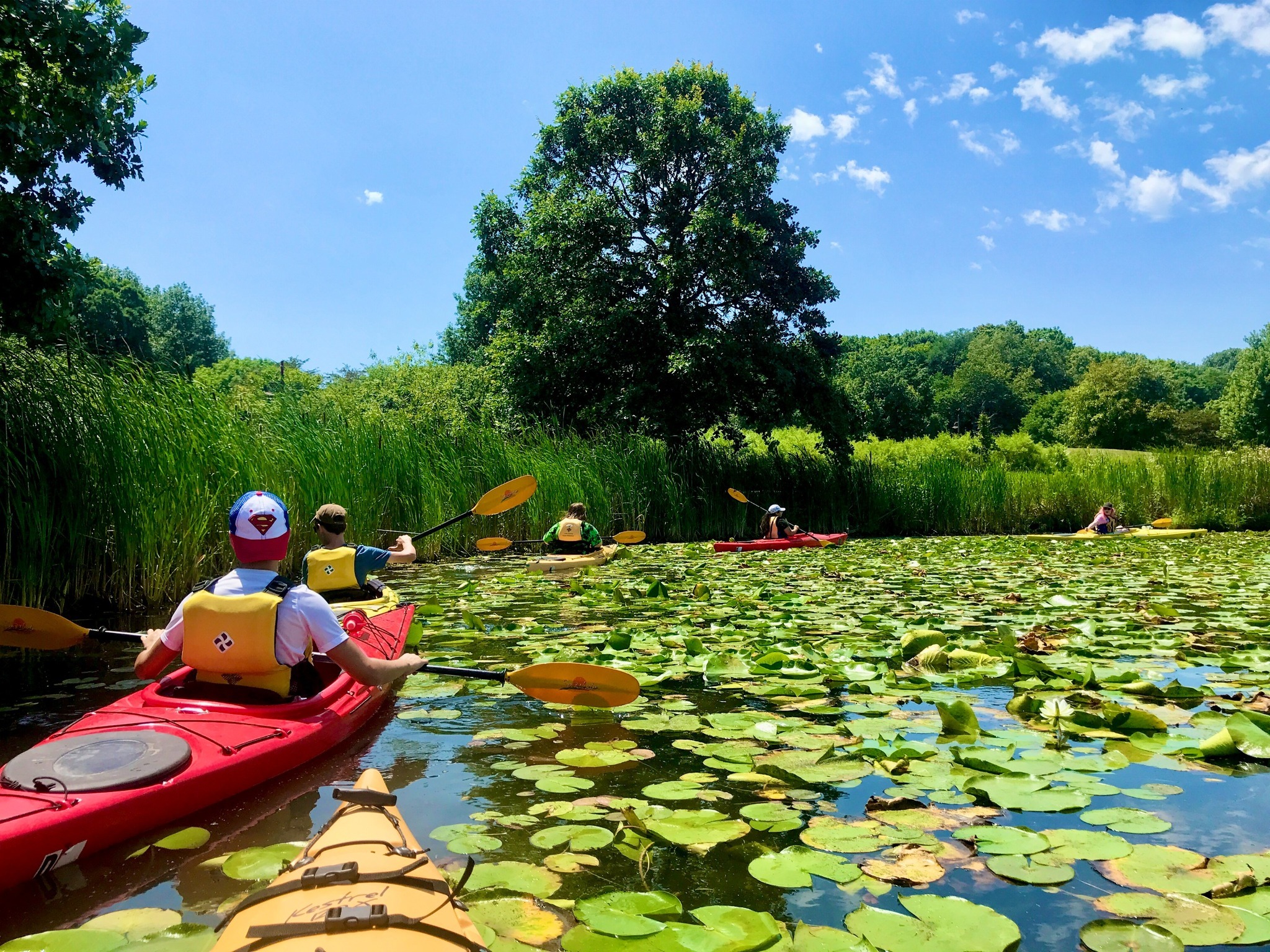 Lake County Forest Preserves Summer Camps