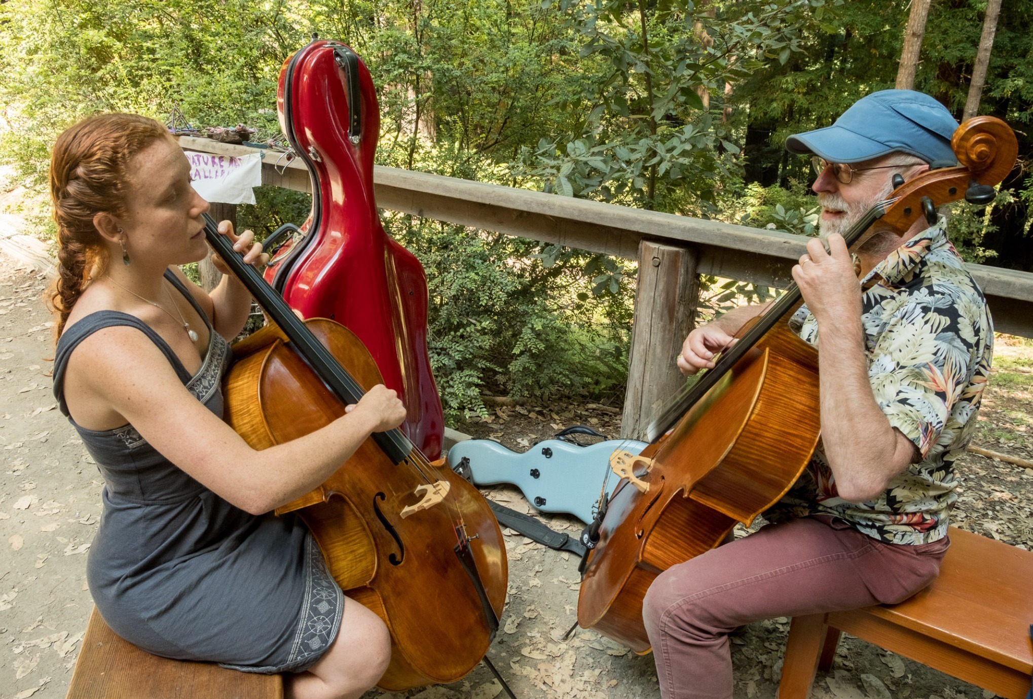 Lark Camp World Music photo 1