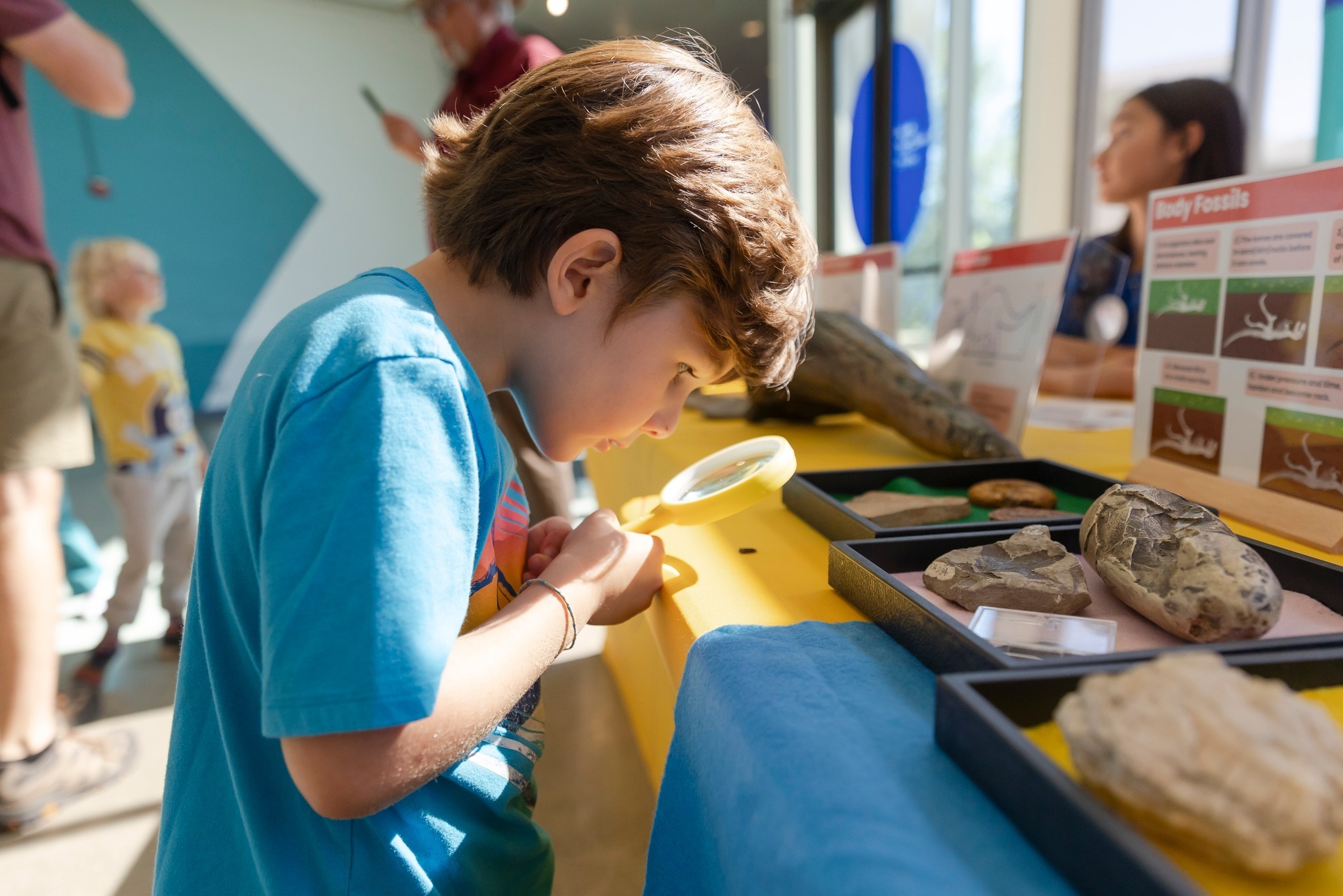 Lawrence Hall Of Science Day Camps photo 1