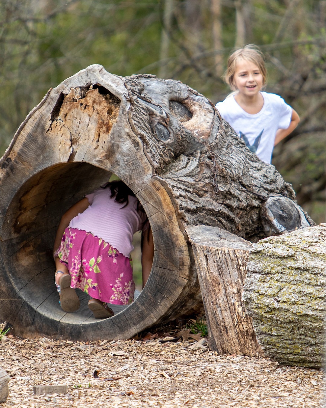 Leslie Science Outdoor Ed Center Camp photo 1
