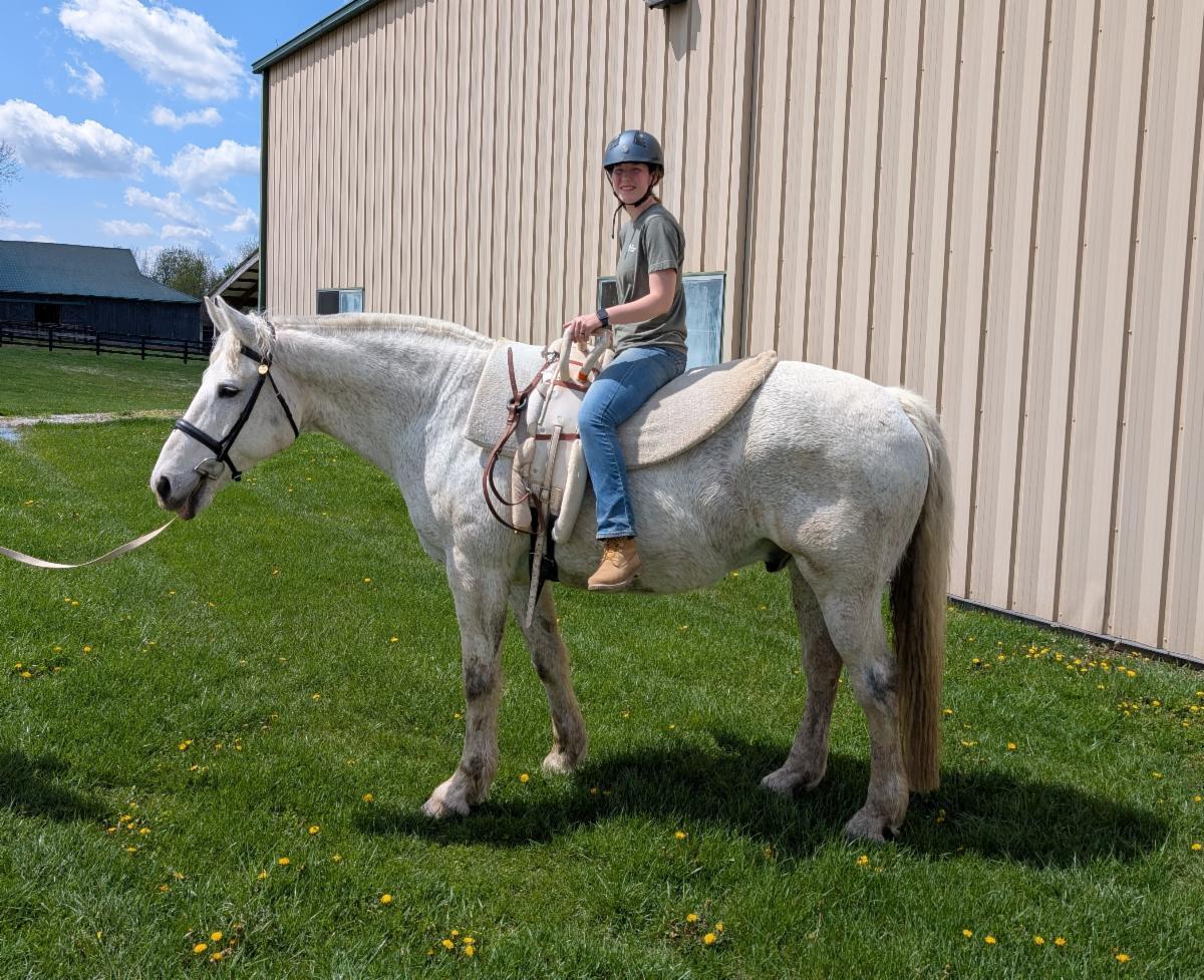 Life Adventure Center Of The Bluegrass photo 1