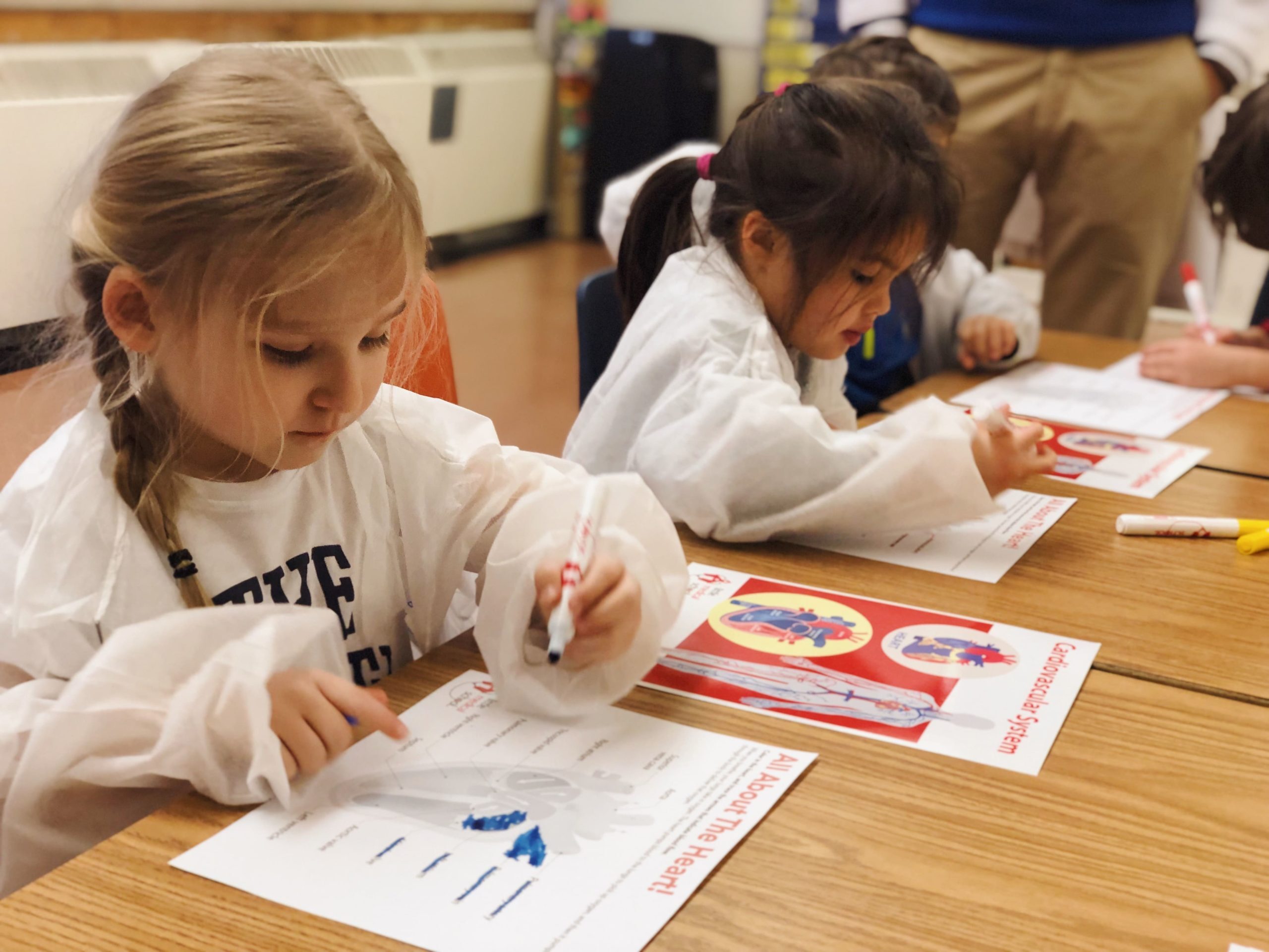 Little Medical School Summer Camps photo 1