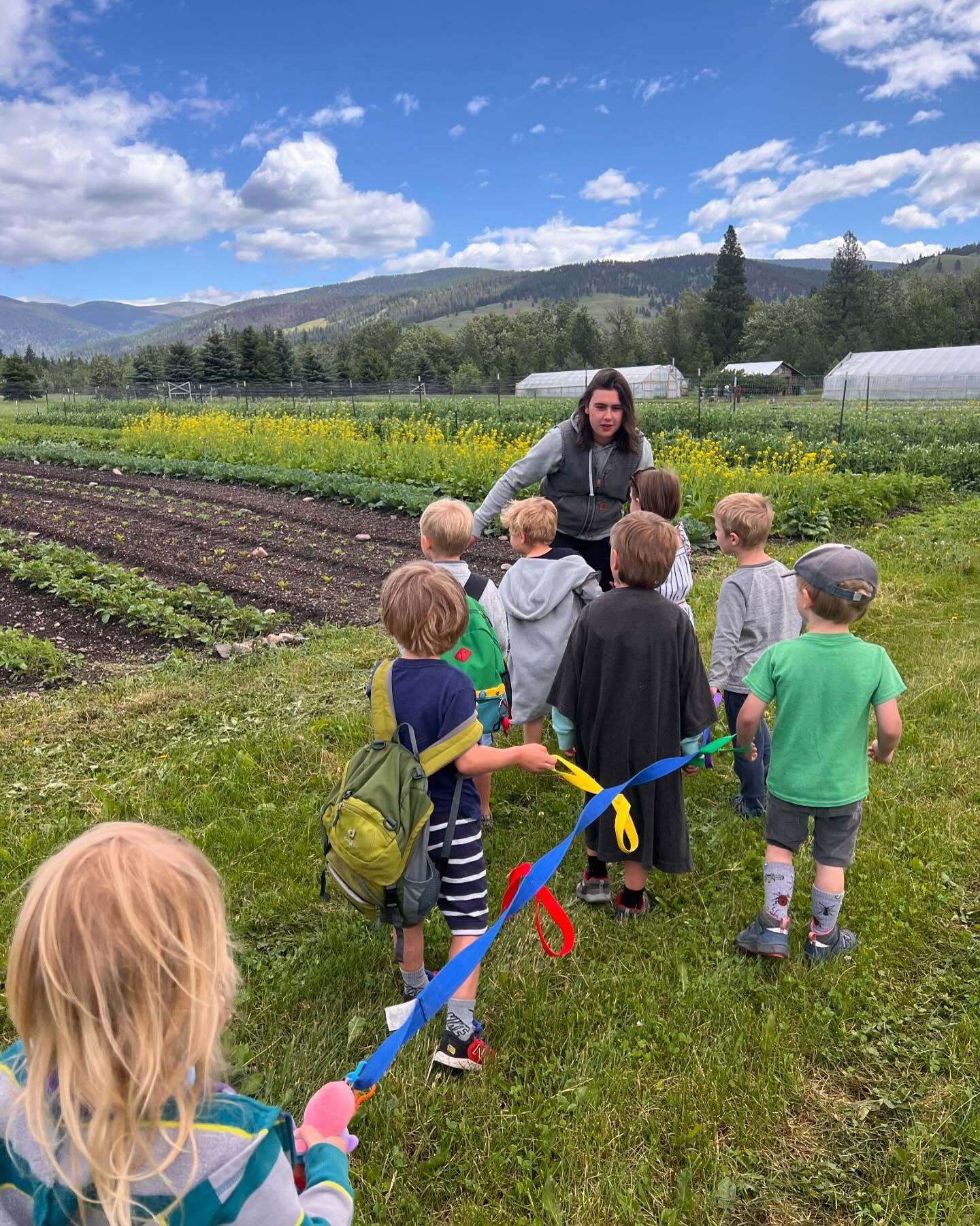 Little PEAS Summer Camps photo 1