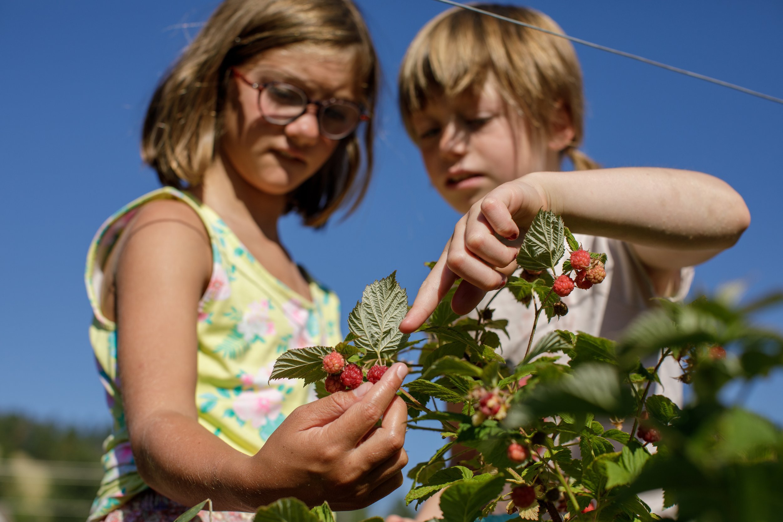 Little PEAS Summer Camps