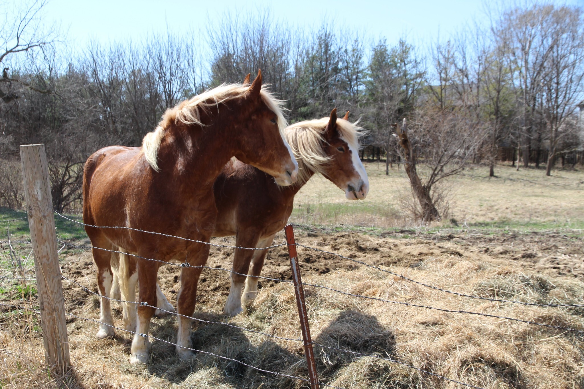 Living History Farms Day Camp