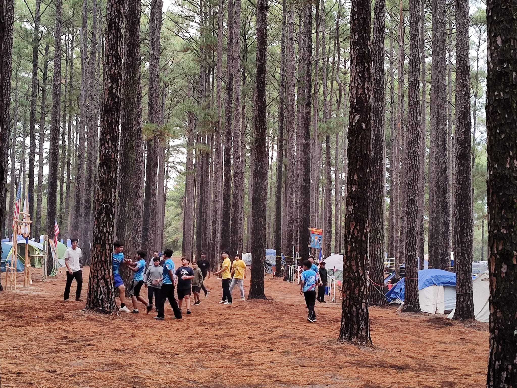 Earth Native Wilderness School Summer Camps photo 1
