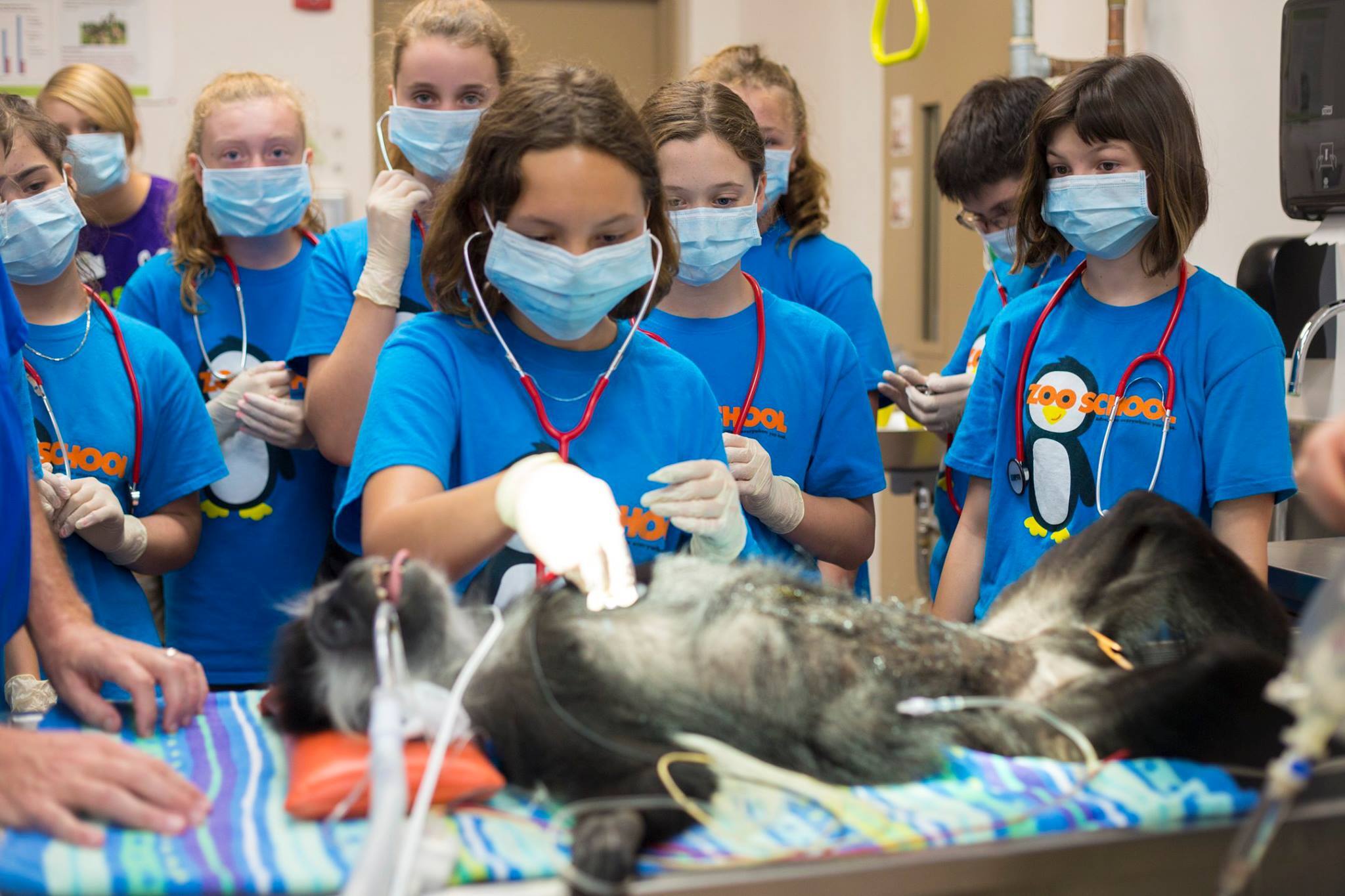 Central Florida Zoo And Botanical Gardens Camp photo 1