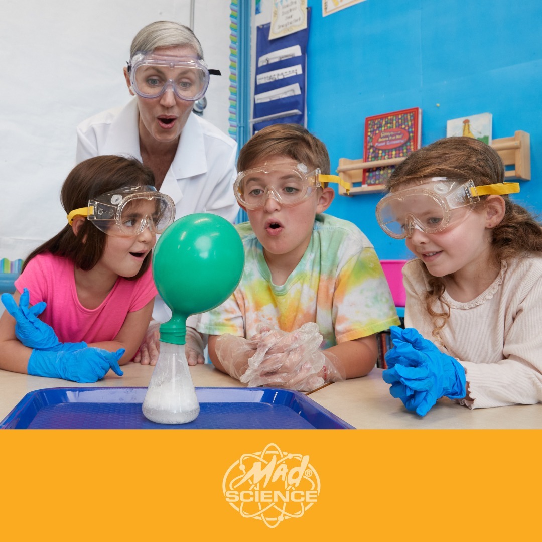 Mad Science photo 1