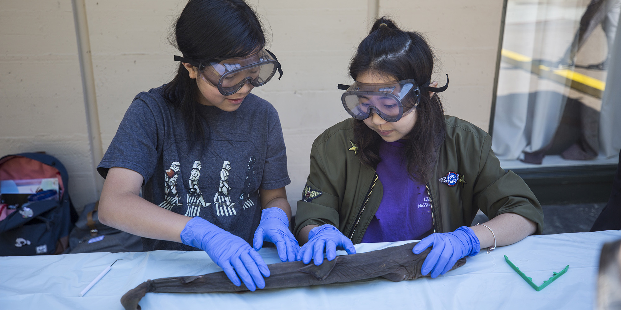 Marine Science Summer Camp For Middle School - UC Berkeley photo 1