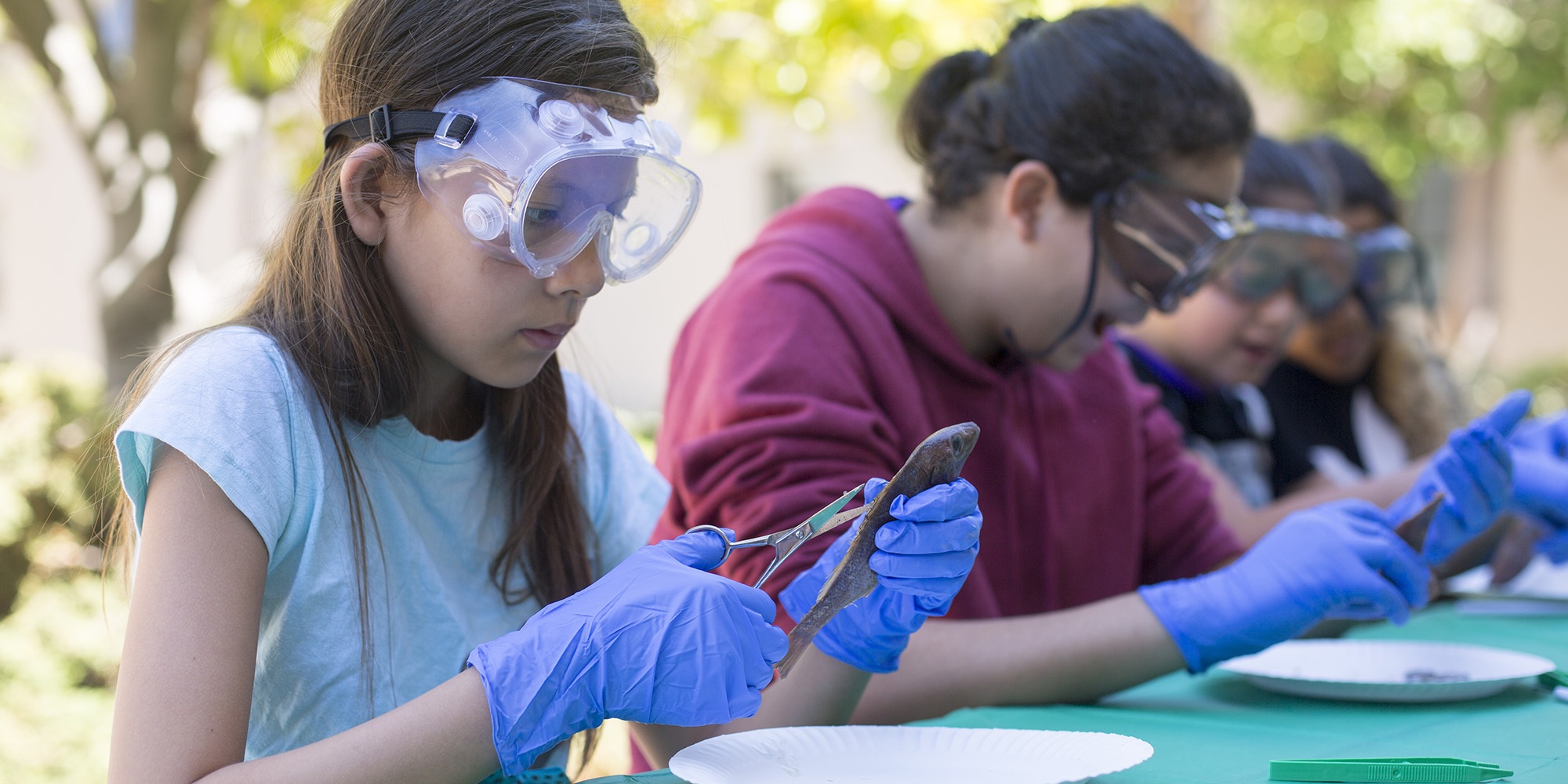Marine Science Summer Camp For Middle School - UC Berkeley