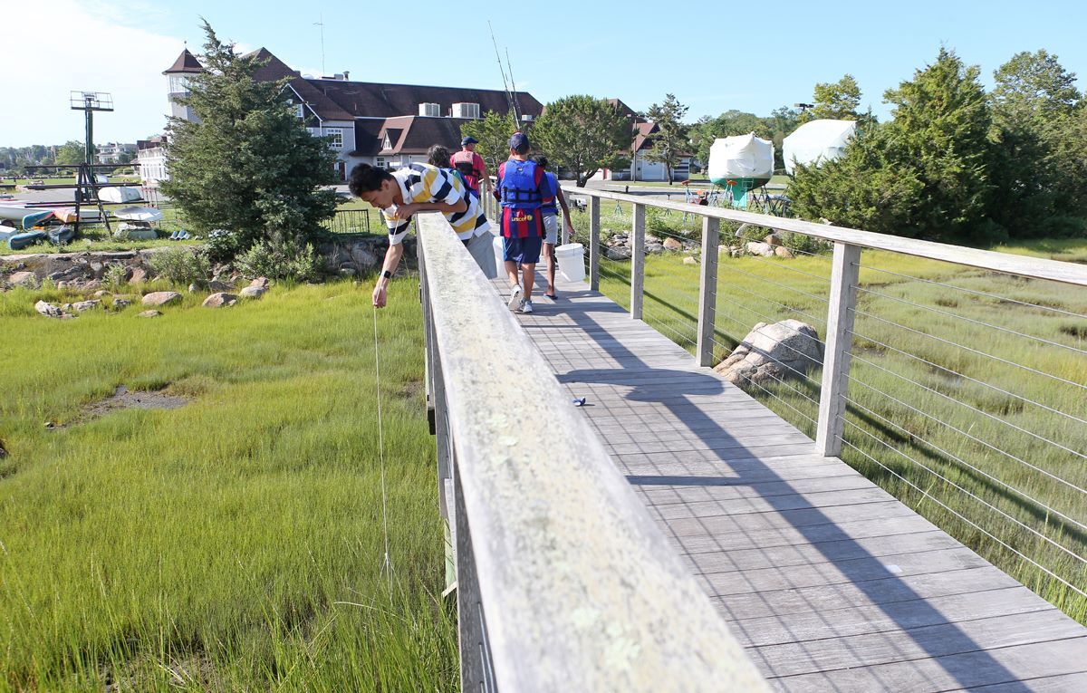 Boston Leadership Institute Summer Programs photo 1