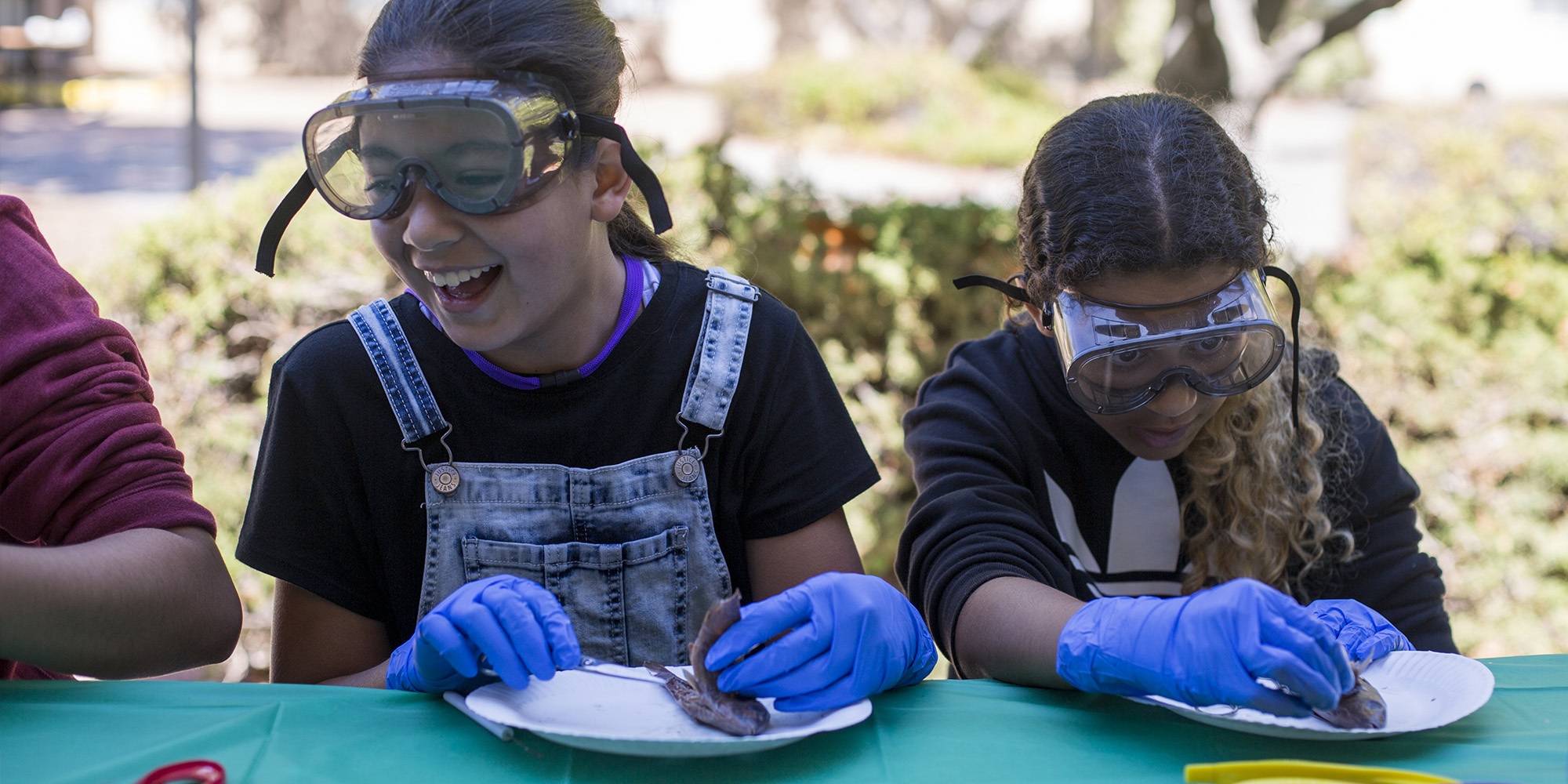Marine Science Summer Camp For Middle School - Stanford University