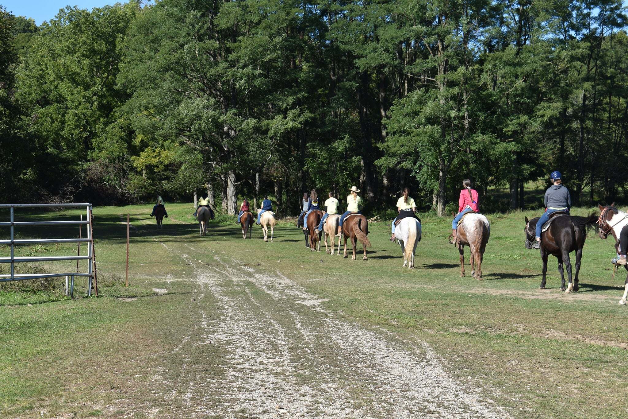 Marmon Valley Farm Camp