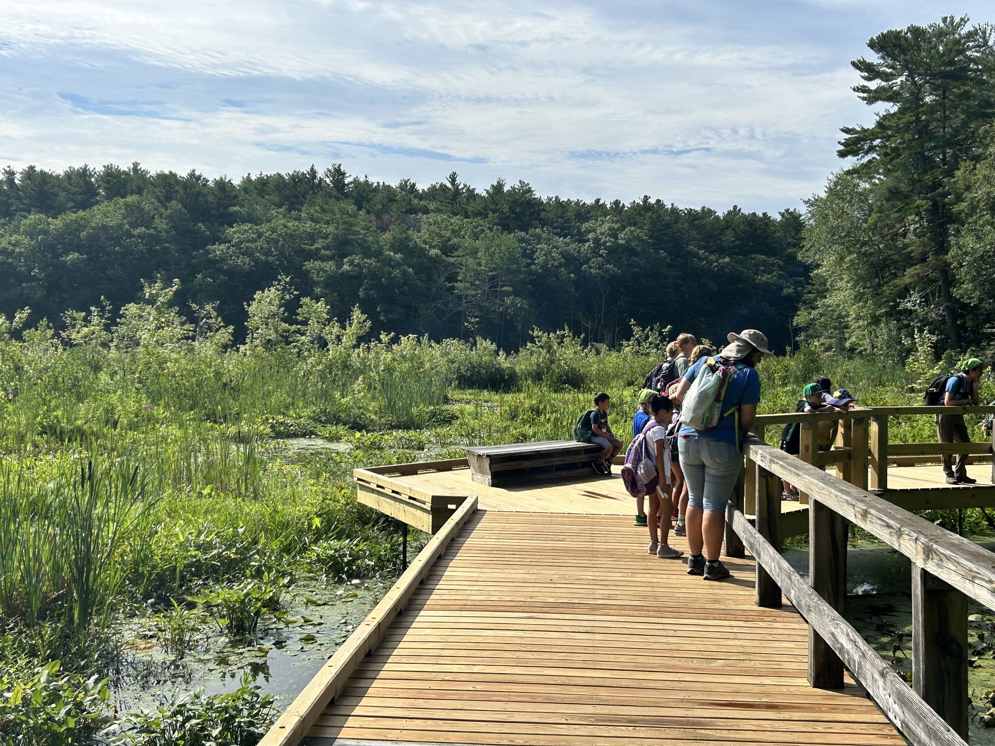 Mass Audubon's Broadmoor Nature Camp