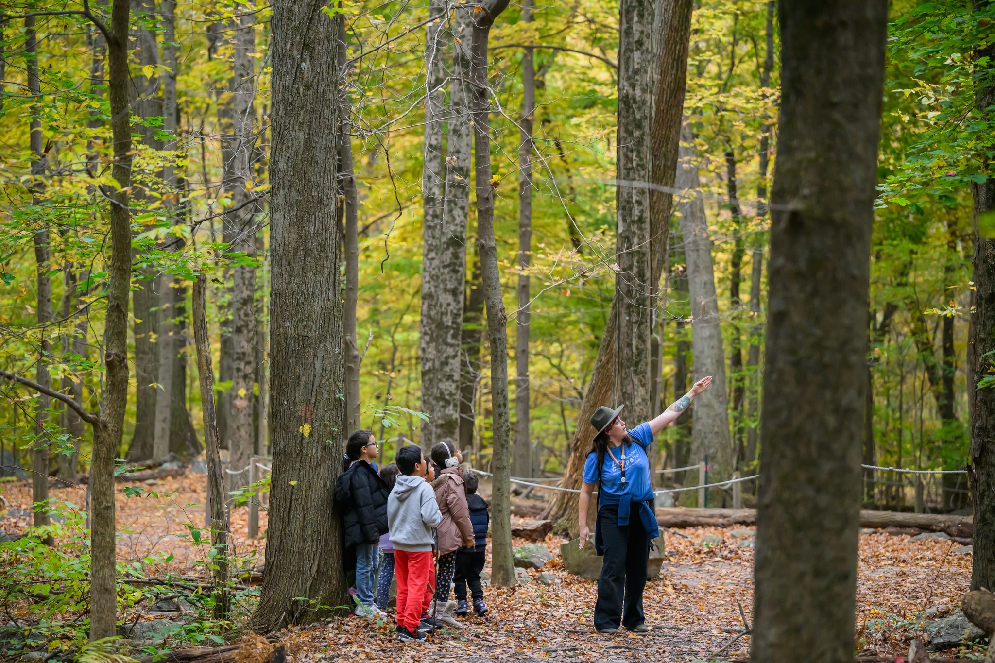 Mass Audubon's Berkshire Nature Camp At Pleasant Valley