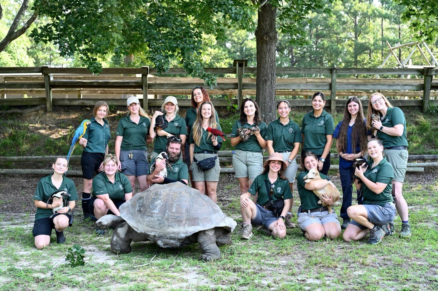 Metro Richmond Zoo Summer Safari