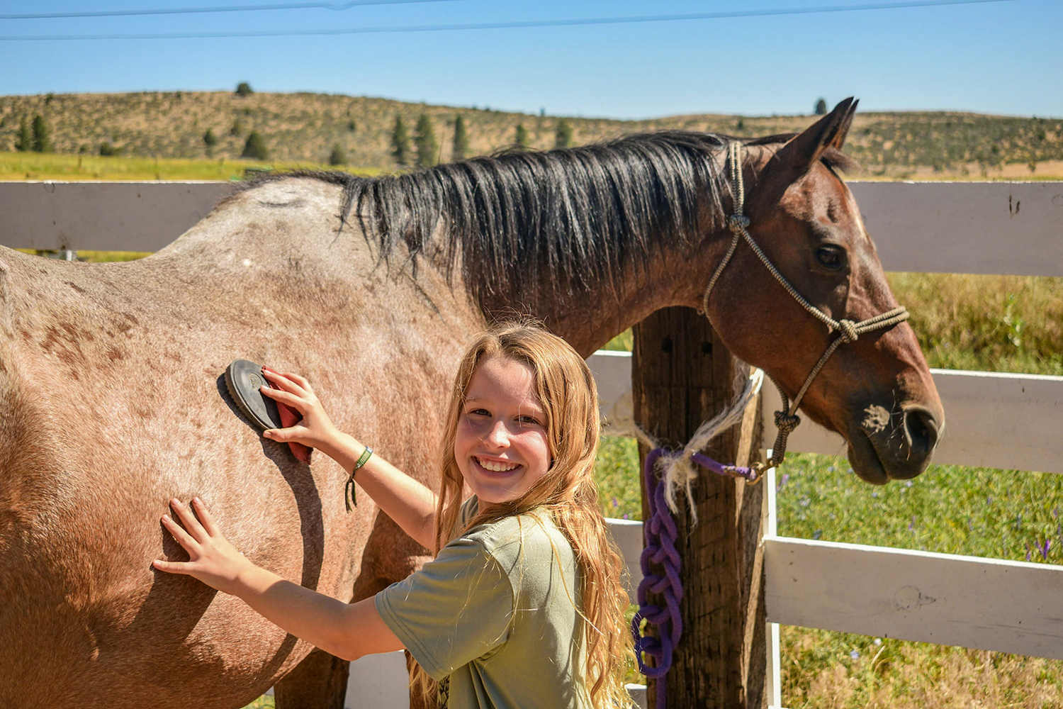 Mountain Meadow Ranch Summer Camp