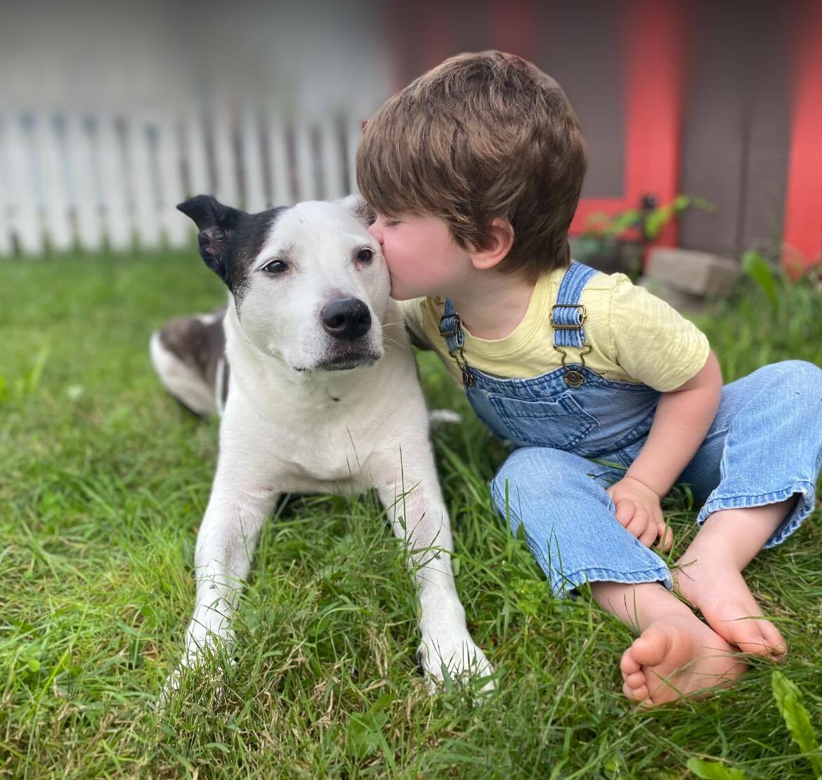 MSPCA Childrens Summer Camp photo 1