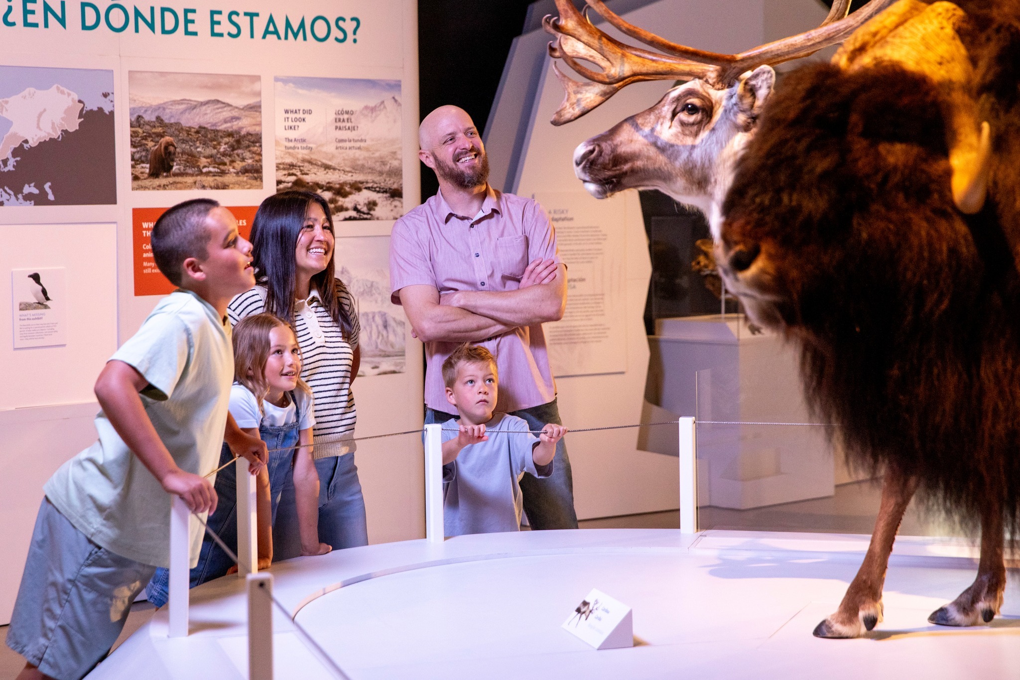 Natural History Museum Of Utah