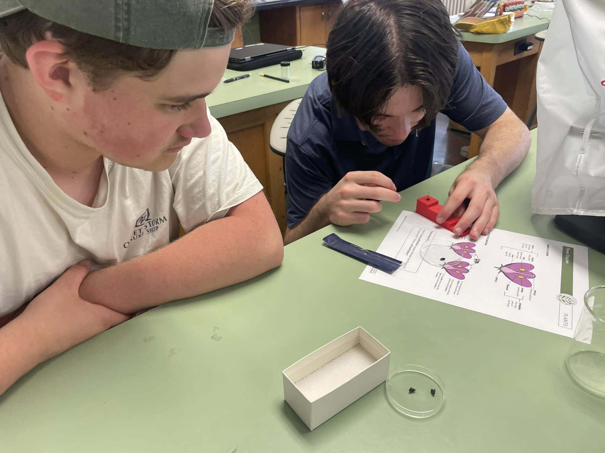 NC State University: Ag-DISCOVERY Camp