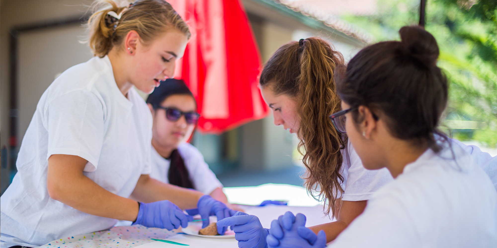 Neuroanatomy Summer Camp - Stanford University photo 1