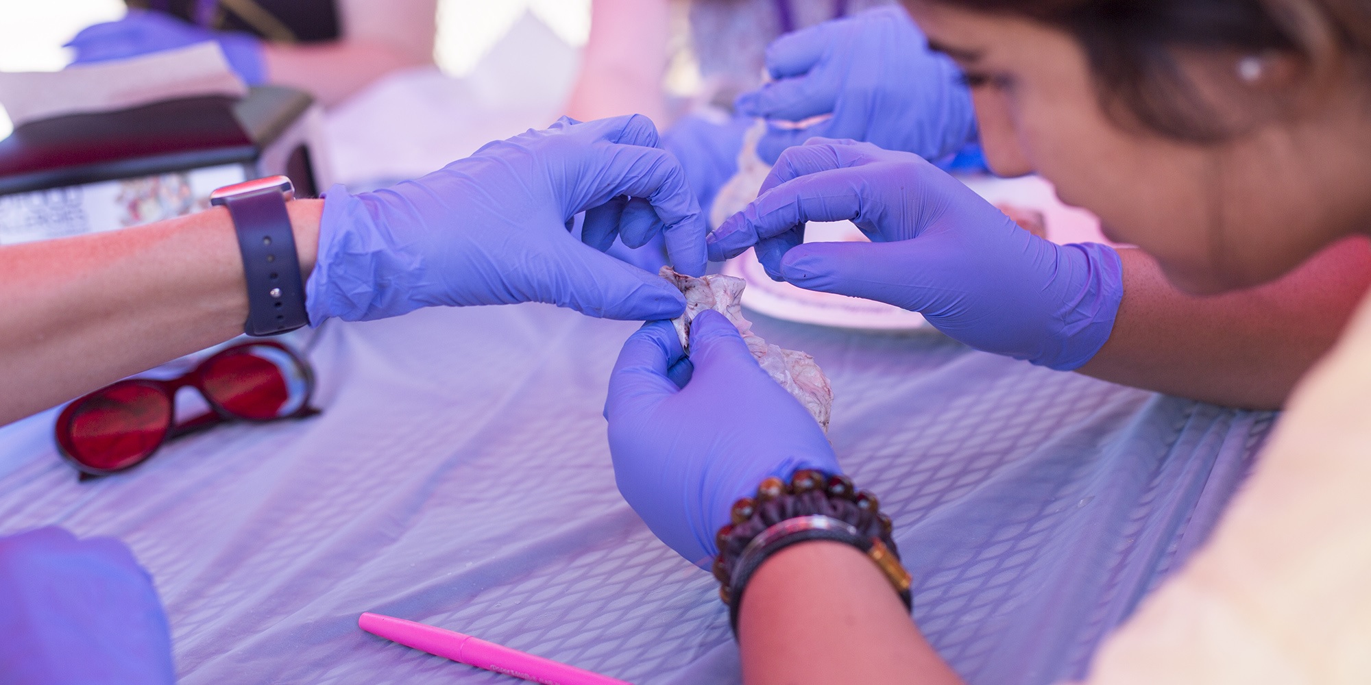 High School Neuroanatomy Summer Camp - UCLA
