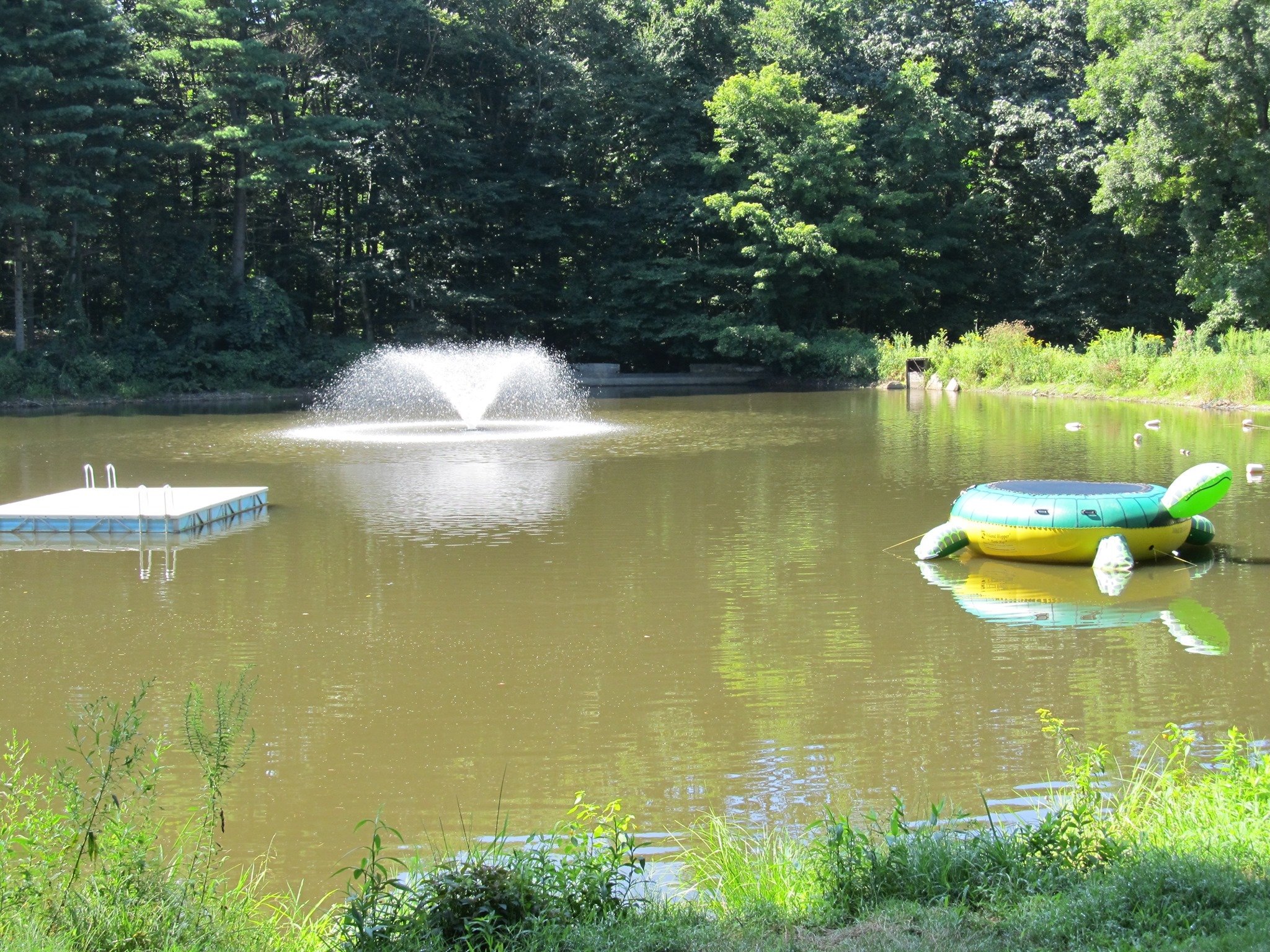 Quinnipiac University Summer Healthcare Career Exploration Academy photo 1