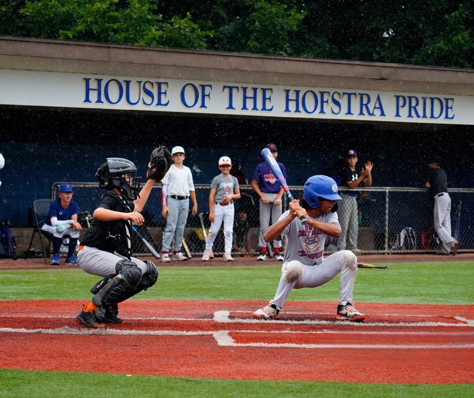 New York Baseball Academy At Hofstra University photo 1
