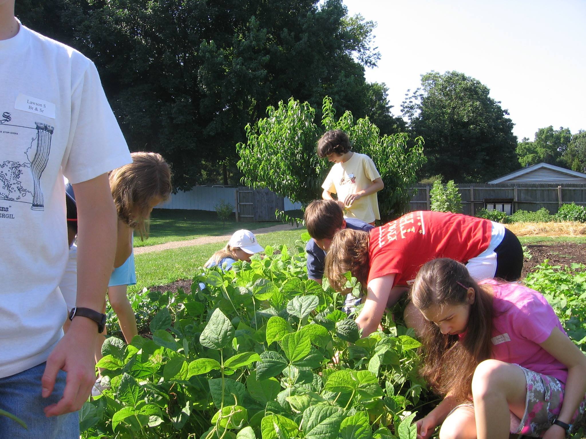 Old Salem Five Yesterdays Summer Camp photo 1