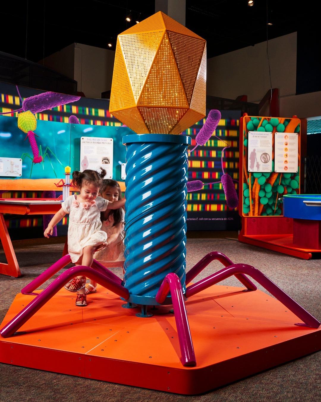 Northeast Community Center Camp photo 1