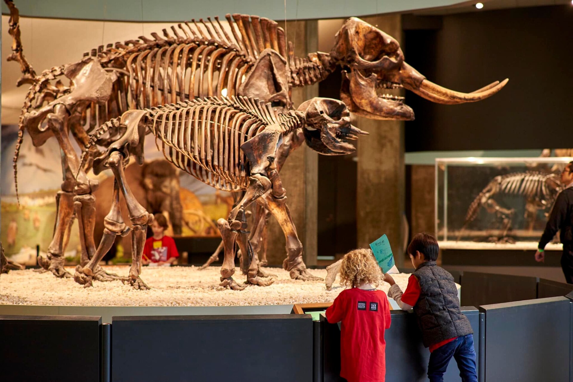 Page Museum's Adventure In Nature Summer Camps