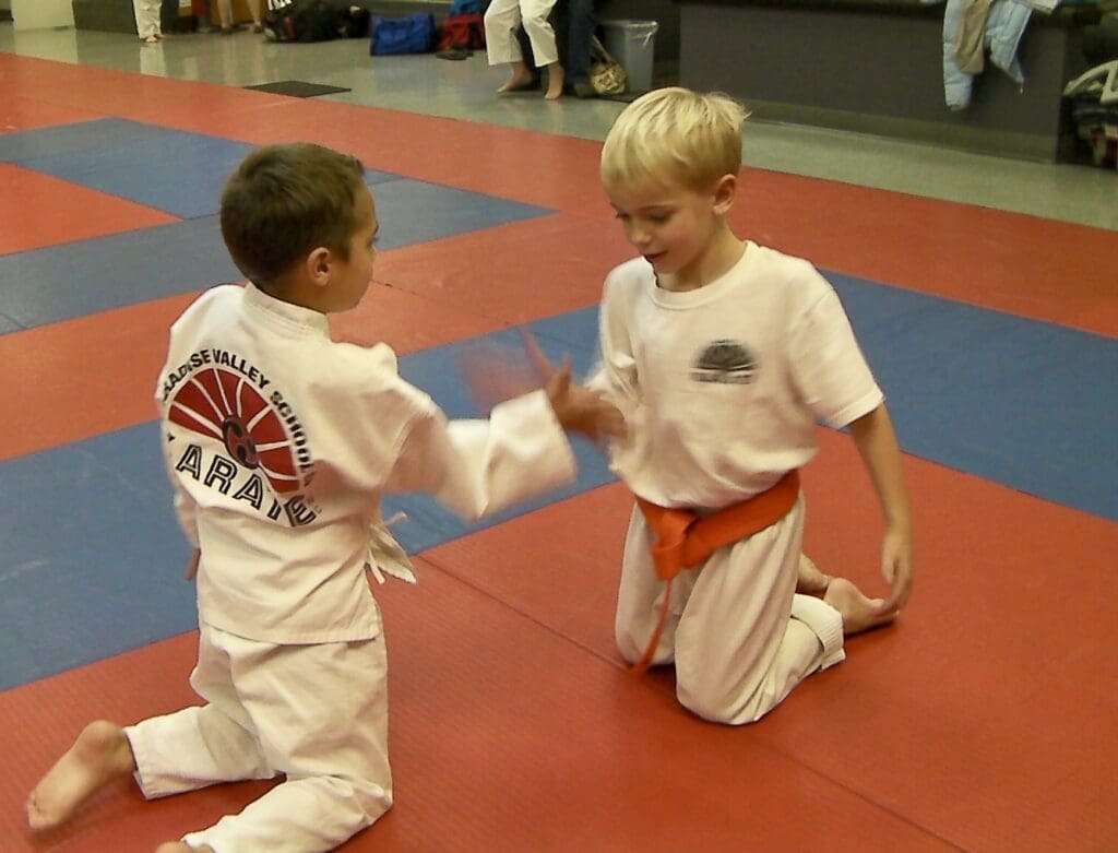 Paradise Valley School of Karate photo 1