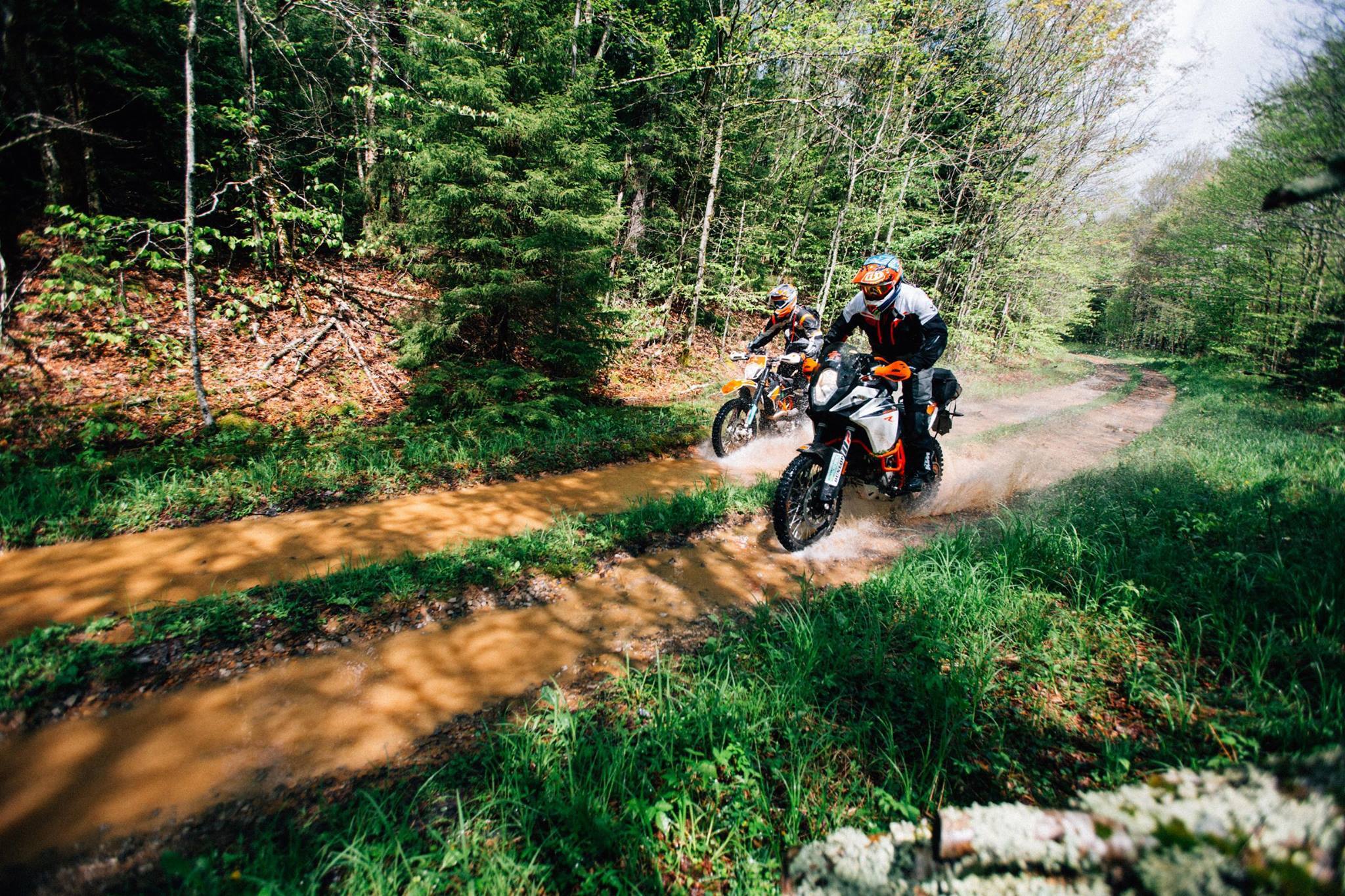 Pine Barrens Adventure Camp photo 1