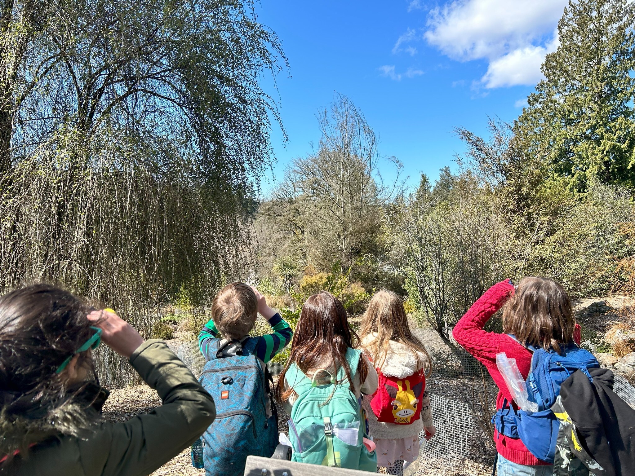 KidsQuest Childrens Museum Summer Camps photo 1