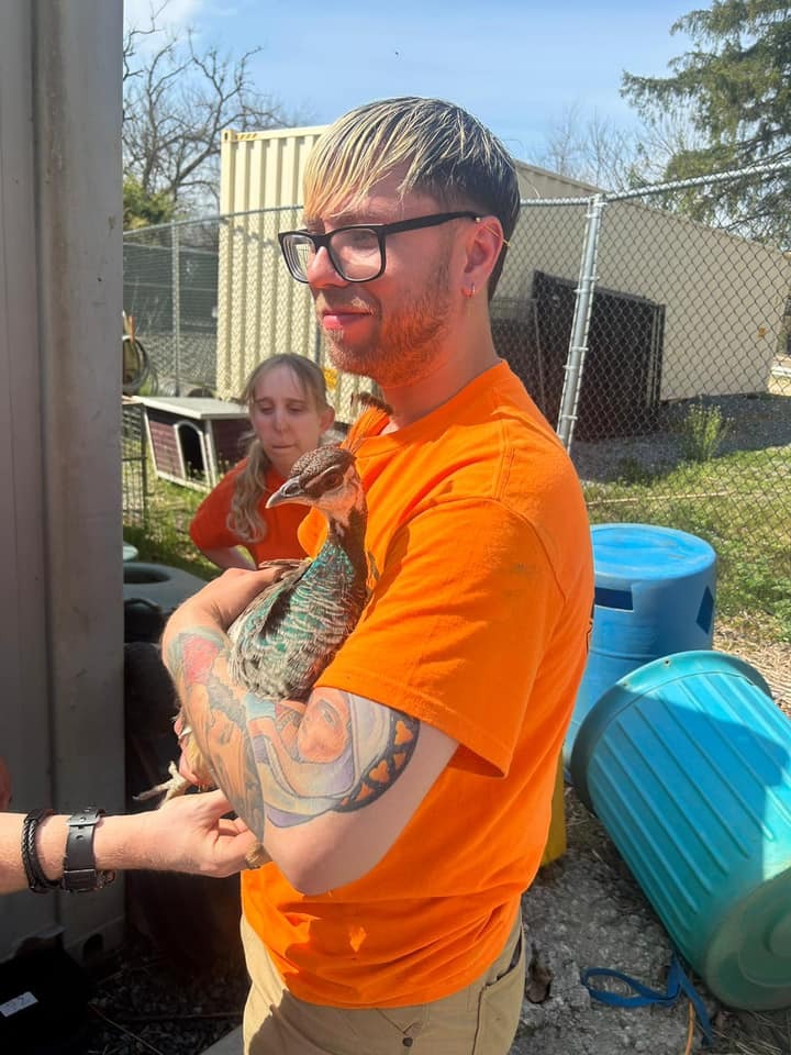 Plumpton Park Zoo Camp photo 1