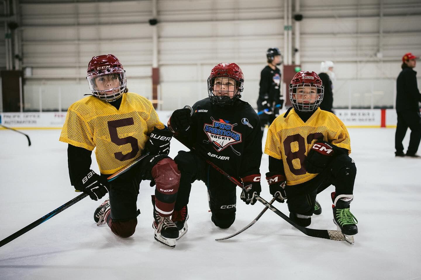 Pro Ambitions Hockey Camps - Arizona