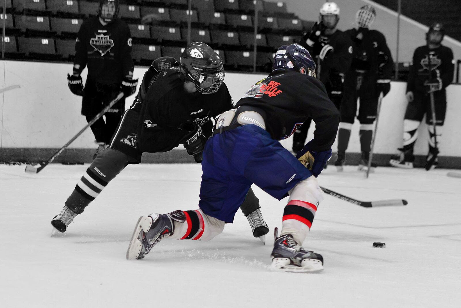 Pro Ambitions Hockey Camps - California