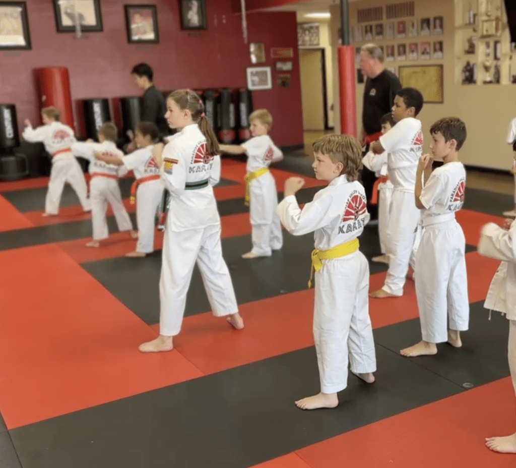 Paradise Valley School of Karate photo 1