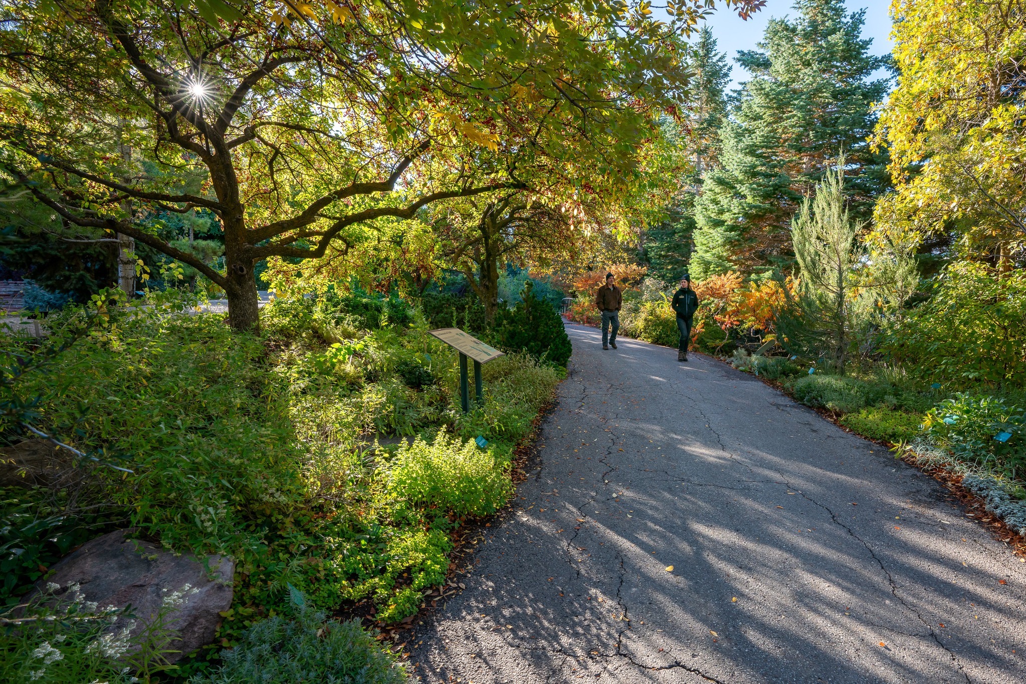 Red Butte Garden Summer Camp