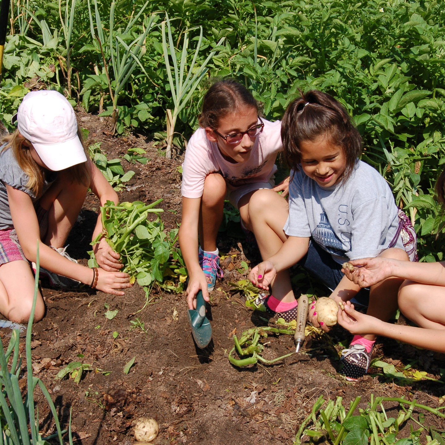 Reynolda Gardens photo 1