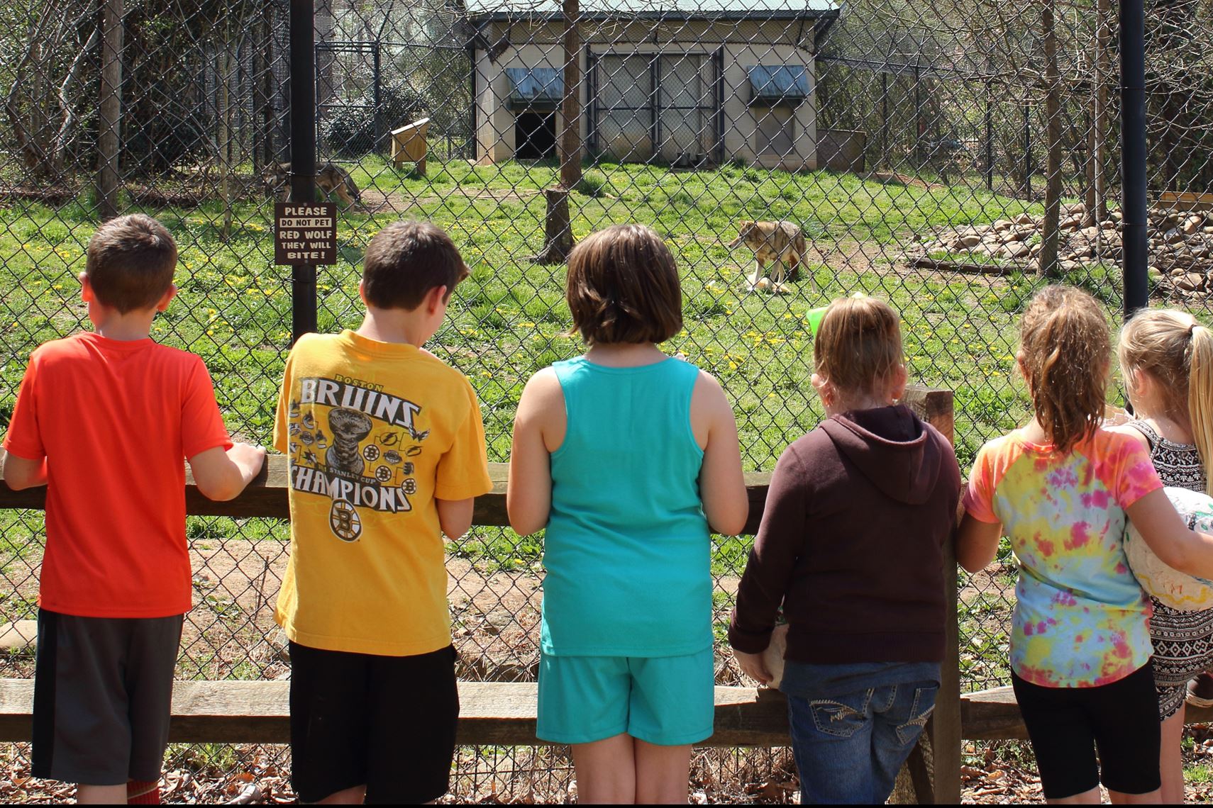 Salisbury Zoo Summer Programs