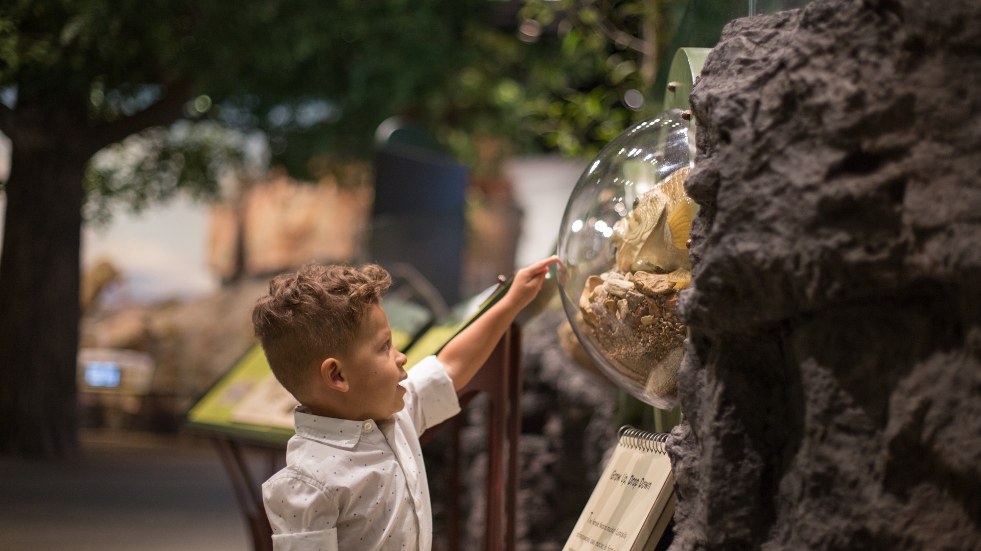 Sam Noble Museum Summer Camp