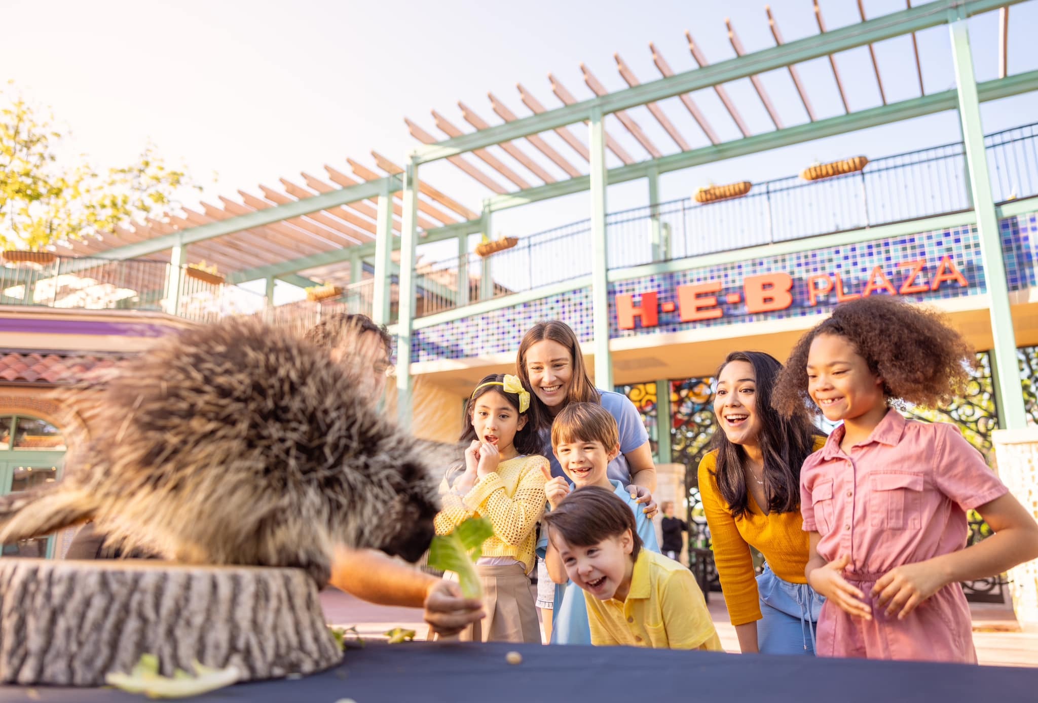 Dallas Zoo Wild Adventures Summer Camps photo 1