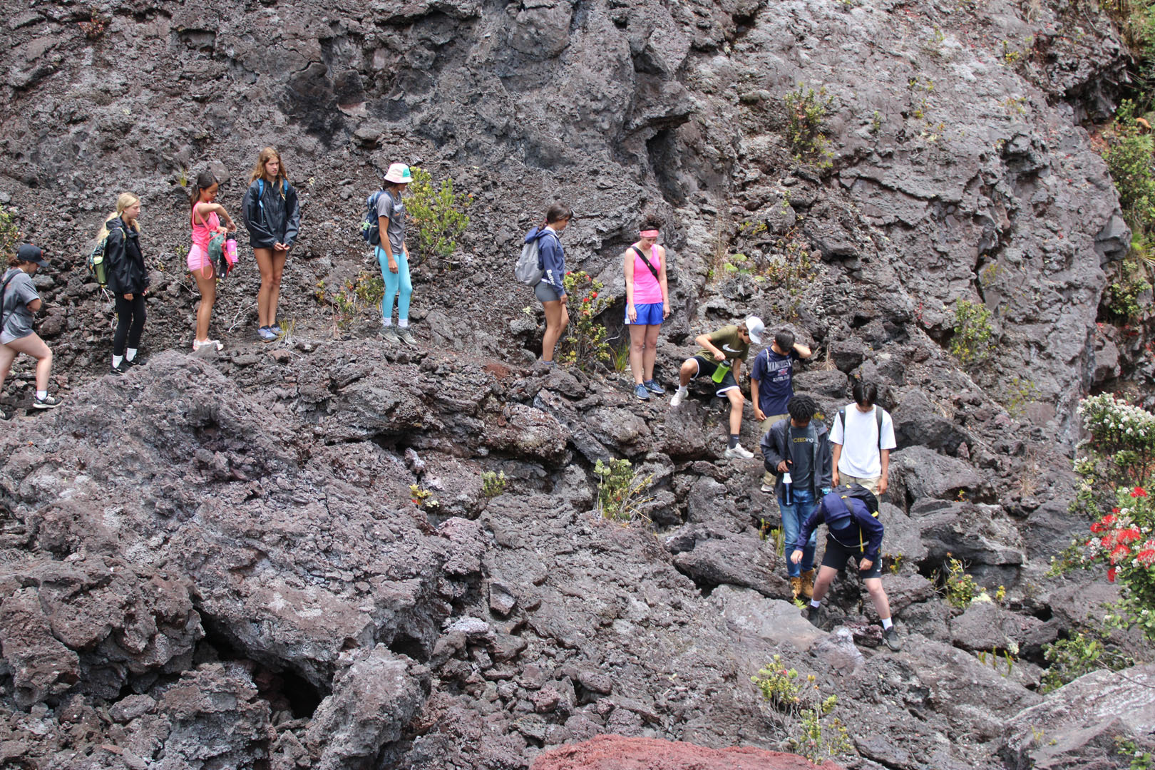 Hanalani Schools Summer Camps photo 1